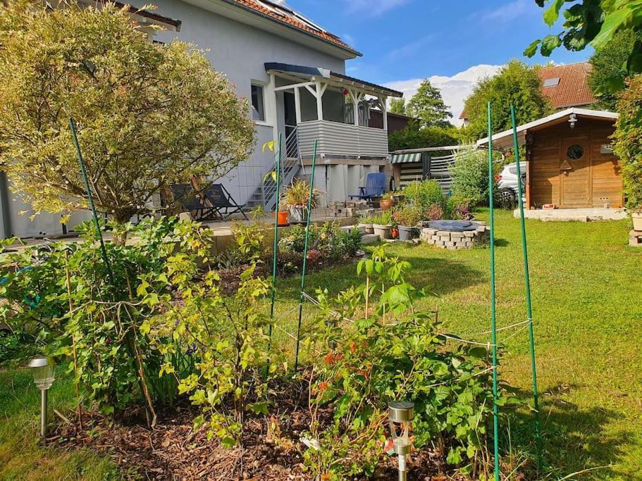 Kornhaus - Schoene Ferienwohnung Mit Pool, Kamin Und Terrasse Göttingen Kültér fotó